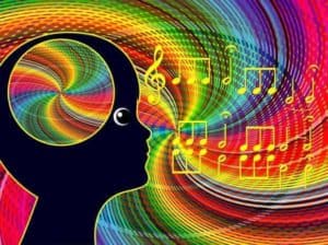 Brain Processing Music