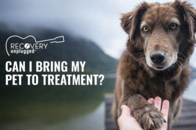 Bring your pet to addiction treatment.