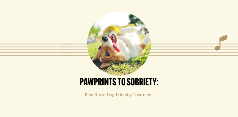 Pawprints to Sobriety:  Benefits of Dog-Friendly Treatment