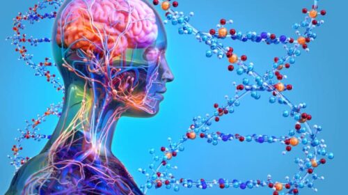 Is Addiction hereditary?