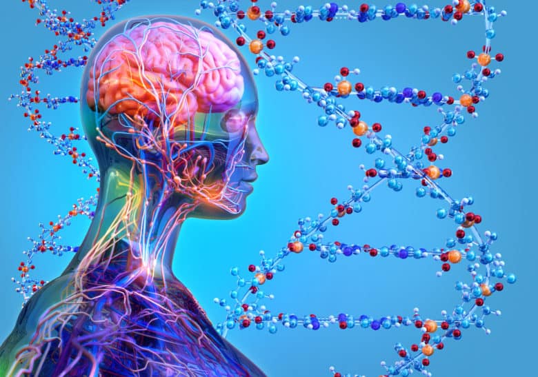 Is Addiction hereditary?