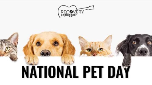 Pet-Friendly Drug and Alcohol Treatment|Pet-Friendly Drug Rehab at Recovery Unplugged