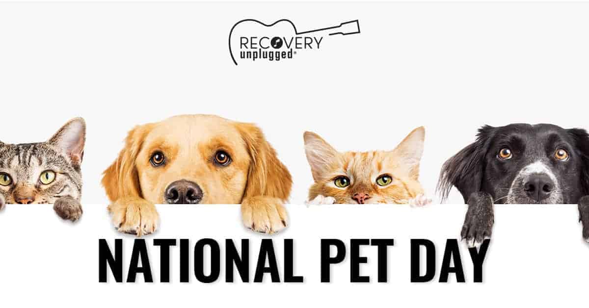 Pet-Friendly Drug and Alcohol Treatment|Pet-Friendly Drug Rehab at Recovery Unplugged
