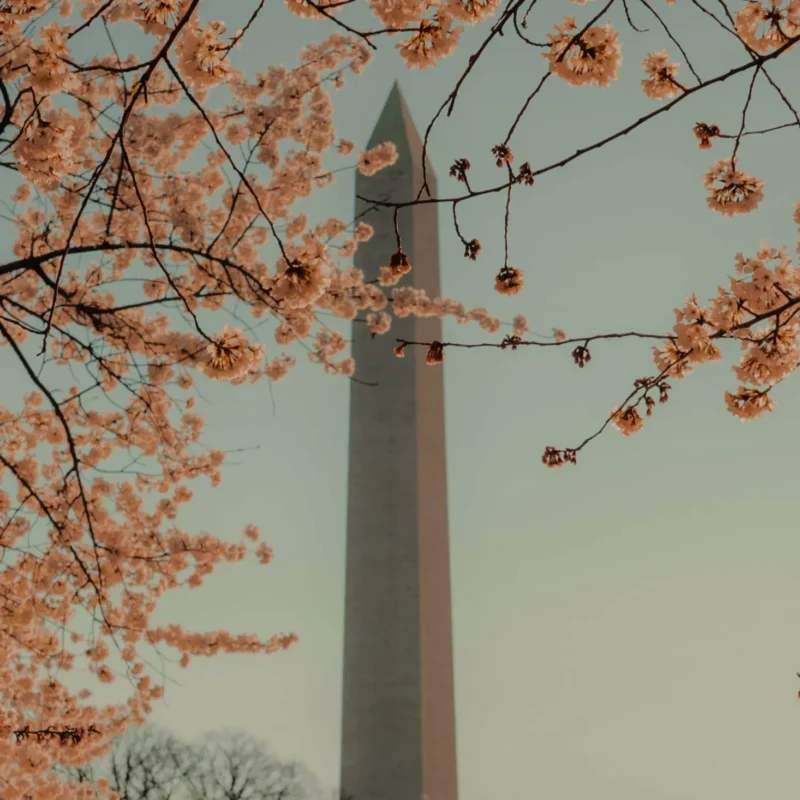 DC Metro Image