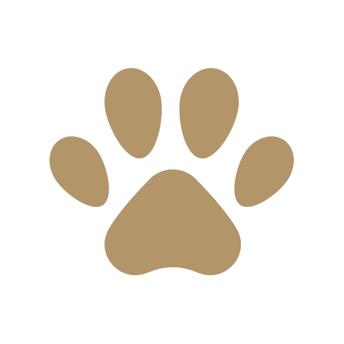RU_SITE_ICONS3